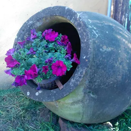 Finca Los Malagones Сasa de vacaciones